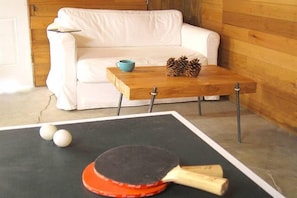 Ping pong table and love seat in unheated garage.