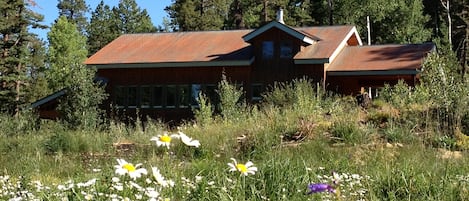 Cabin in Summer
