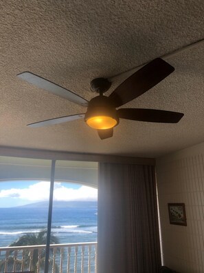 New ceiling fan