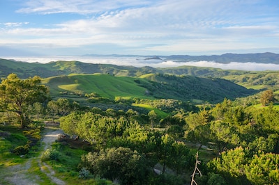 LUXURY | VISTA HOUSE above the Clouds!