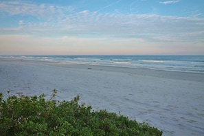 View of the beach