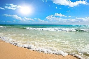 Picture of the Beach across from the Condo