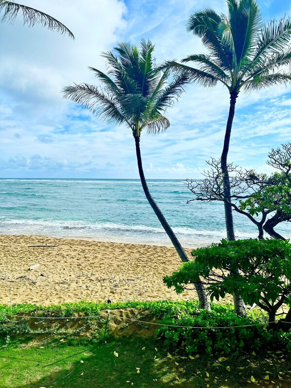 This is the actual unobstructed view from the lanai