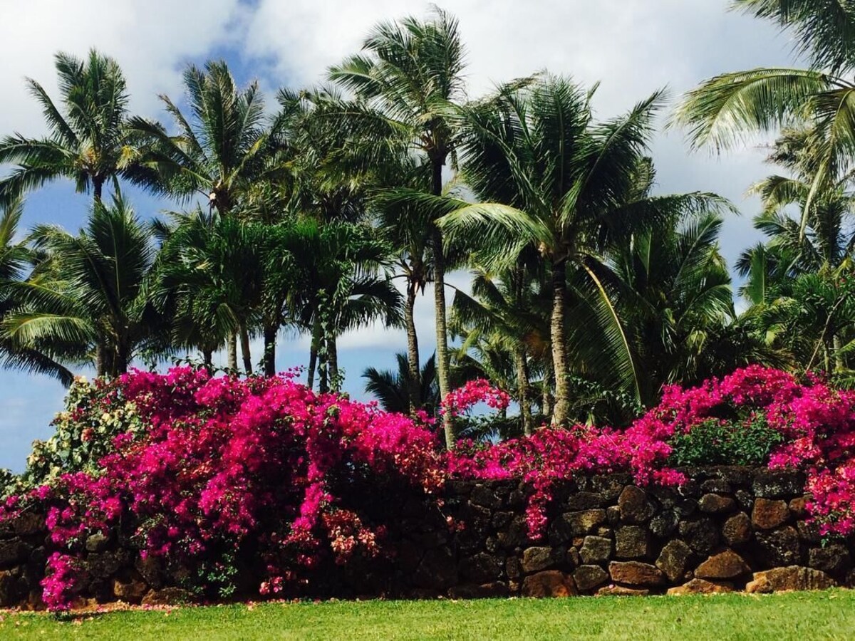 Studio in Princeville on Kauai’s North Shore