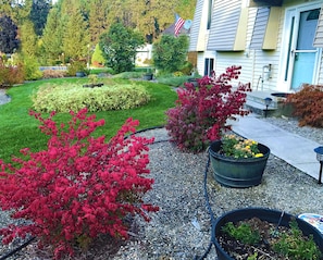 Front yard view and neighborhood.  Gleneden pine forest seen in background.