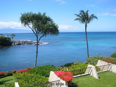 Ocean Front Napili Point C25 Great Views Turtles Whales Sunsets From Lanai A C Napili