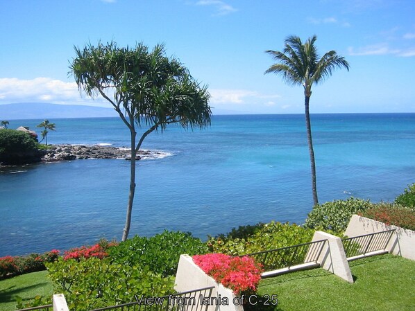 View from the Lanai of the Unit 