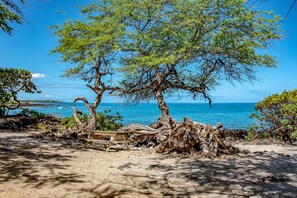 Paniau beach park, the best diving and snorkeling on the island, 2 blocks away