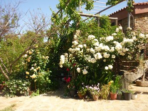 Jardines del alojamiento