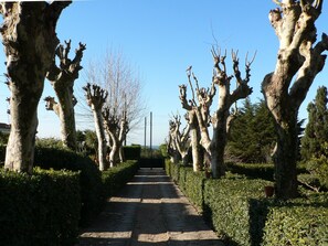 Jardines del alojamiento