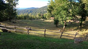 Parco della struttura