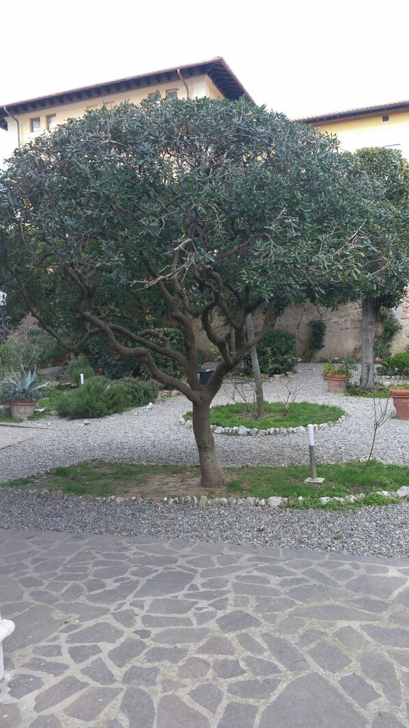 Parco della struttura