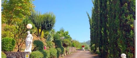 Jardines del alojamiento