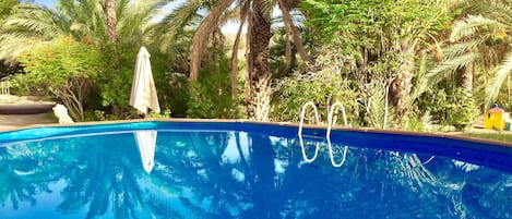 6m X 3m Private Pool, Palm Trees and Sunshine. Happy Holidays...