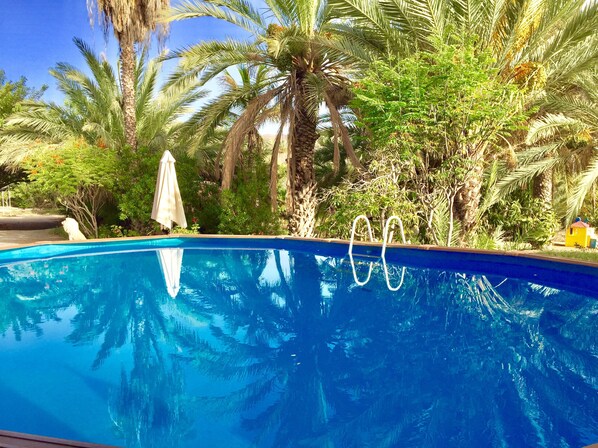 6m X 3m Private Pool, Palm Trees and Sunshine. Happy Holidays...