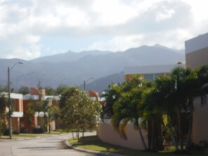 View of El Yunke Rain Forest from property