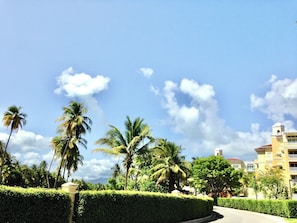 Property grounds