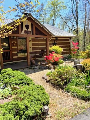 Spring has sprung at Dream Come True - pure mountain magic!