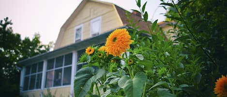 Farmhouse in summer
