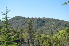 View from deck