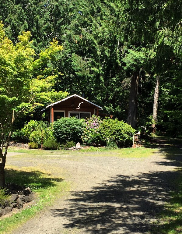 Huckleberry Cabin & Trails