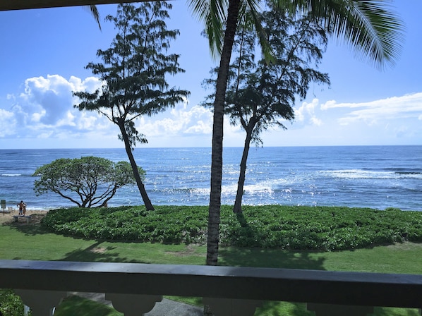 View looking straight from the lanai.  Watch the whales.