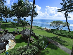 View from lanai looking left.