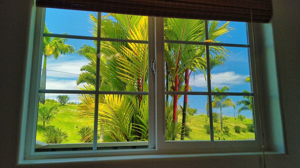 Ocean View Couple’s Cottage with Fruit Orchard and Stream