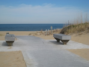 Ranta