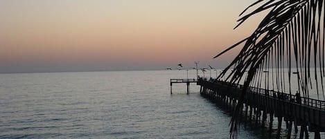 Walk or ride to Sharky’s on the Pier-eat, fish and music!