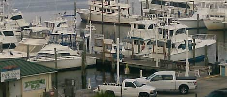 our location with the fishing fleet --
the Gulf of Mexico and the inlet--