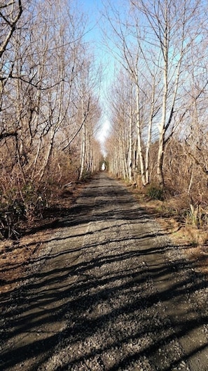 Terrain de l’hébergement 