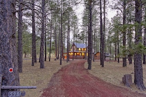 View of house from driveway entry.