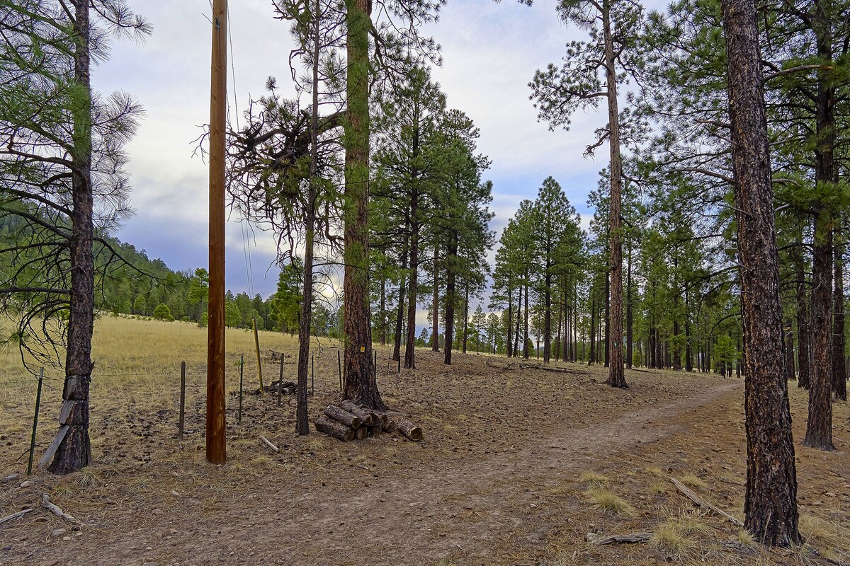 Perfect home base for family adventures! Gorgeous, private, clean! 20 min to FLG