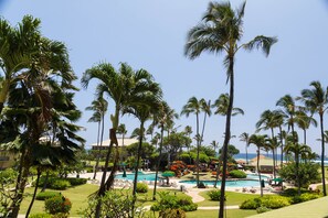 The gorgeous resort