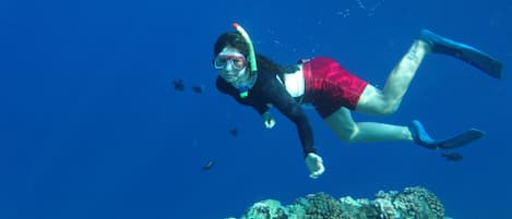 Snorkel Molokini!