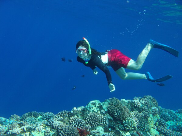 Snorkel Molokini!