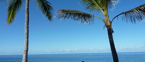 Your view from the lanai at the townhouse overlooking the Pacific Ocean.  