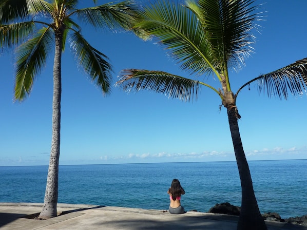 Your view from the lanai at the townhouse overlooking the Pacific Ocean.