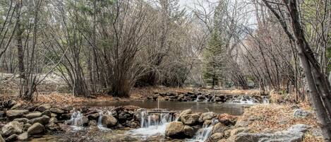 Chalk Creek with Mt. Antero in background. Private creek area