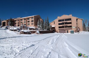 Driveways kept plowed during the winter but cars MUST have 4 wheel drive