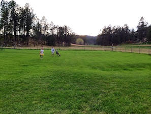 Children play on the lawn.