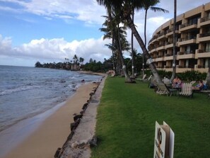 Beach area with great shot of Paki Maui