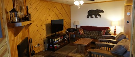 Living Room with TV and DVD player. Couch converts to queen bed.