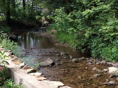 Moon Lake Cottage, Ashland PA