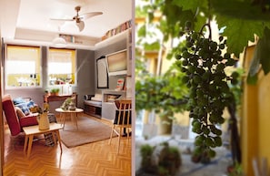 Living room view after last refurbishment in July 2014 and vine in patio.