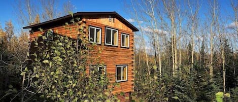 (1) beautiful Alaskan cabin in the woods