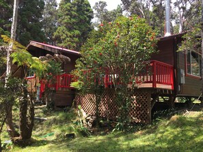 Front view of the Cabin surrounded by red Camellia trees.