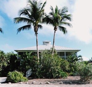 View from the street 