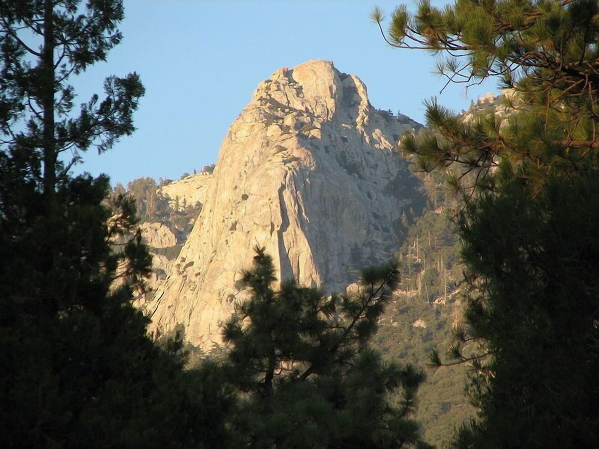 Main Image